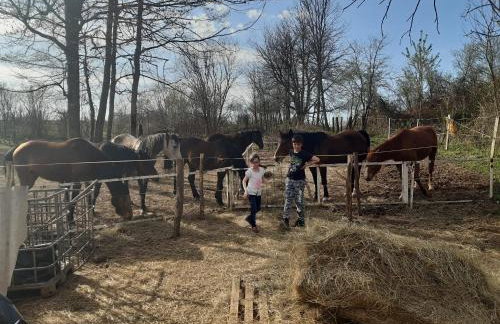 Apartment Ivan & Iva - Foto 51