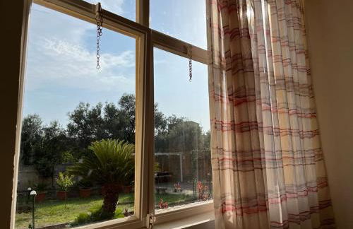 A 2 passi dal mare II - grazioso trilocale a Locri - Foto 18