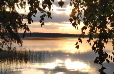 Domek w Borach Tucholskich - Wycinki - Foto 10