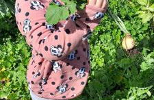 CASA DA VIZINHA, QUINTA DAS MEMÓRIAS - Foto 45