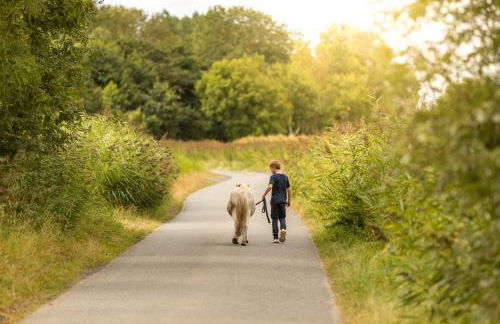 Nordseehof Brömmer - Foto 10