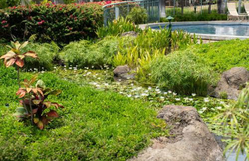 Wailea Hidden Gem - Foto 44