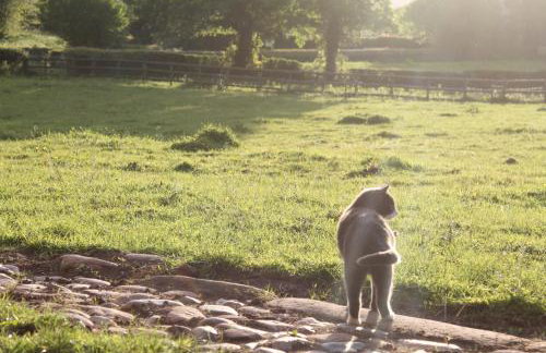 The Jockey Room Hideaway - Foto 26