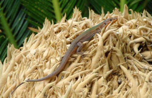 Villa Aska - Photo 53