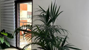 Casa Fatima - Foto 4