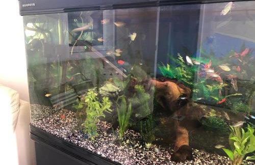 The Old Laundry - Foto 13