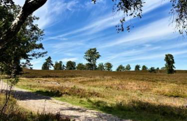 Lütt Heidjer Hus - Foto 12