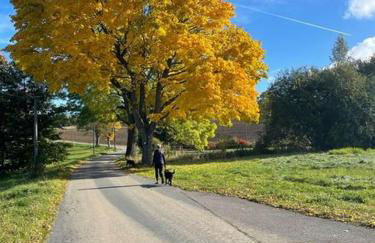 Ferienwohnung Sonnenhof - Foto 53