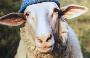 James' Place @ The Park - Photo 14