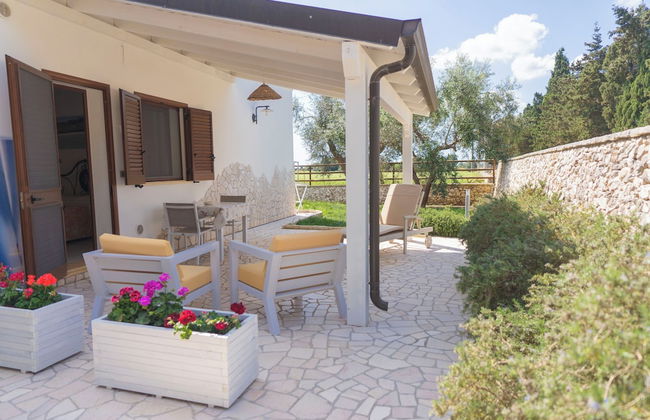 AGRITURISMO SCALELLE - Foto 44