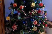 MADI' casa vacanze - Foto 75