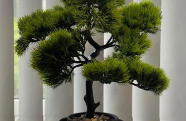 Modern Studio Kidderminster Centre Flat 3 - Foto 6