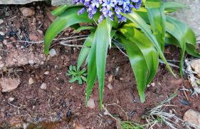 Paraíso da Aldeia - Foto 20