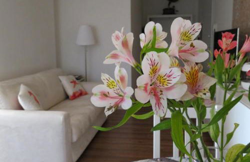 Jitaku MAINE - Foto 17