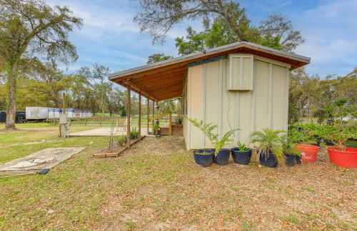 Morriston Getaway with Patio - Near HITS Farm! - Foto 24