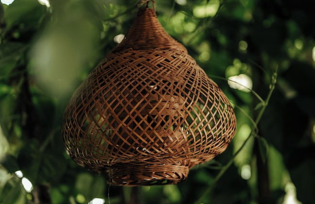 San Marcos Properties - Foto 73