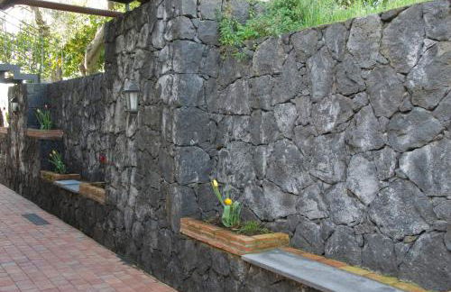 Biologico Dell'Etna - Foto 13