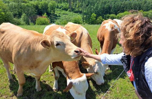 Steewer Landhaus gemütliche Ferienwohnung bis 6 Pers in ruhiger Ortsrandlage - Foto 34
