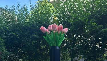 SALVIA II exklusiv & smart & Terrasse II Dein City-Apartment - Foto 2, Garden view