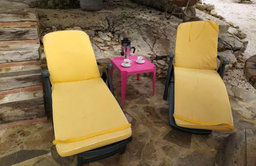 cortijo la laguna - Foto 17