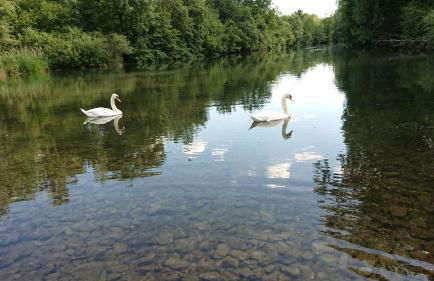 Ferienwohnung Kleb für bis zu 6 Personen - Foto 16