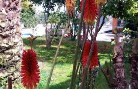 Casas da Fraga - Serra da Estrela - Foto 76