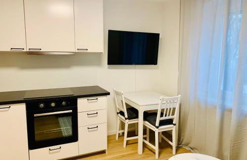 Modernes 1 Zimmer Appartement direkt am Wörthsee - Foto 4
