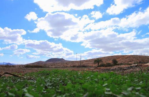 MONTAÑA VALLES DE ORTEGA - A - Photo 13