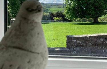 Romantic barn by the castle, Barnard Castle - Photo 16