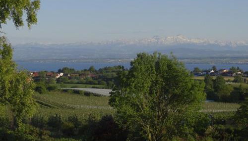 Gästehaus Huber Meersburg - Foto 2