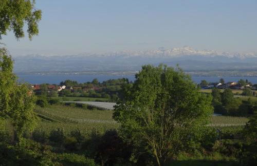 Gästehaus Huber Meersburg - Foto 2
