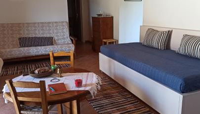 Magnolia Traditional Stone House in Vamvakou - Foto 3