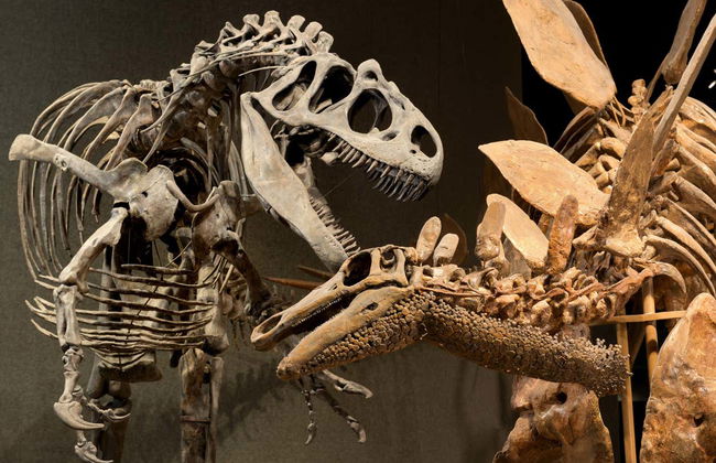 Denver CityPASS® - Photo 3