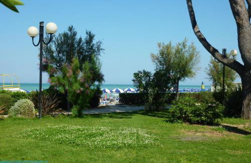 Ficus Pineto Vacanza - Foto 11