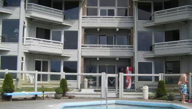 The Grey Gull - Foto 2