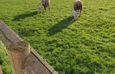 Fodol Cottages - Foto 4