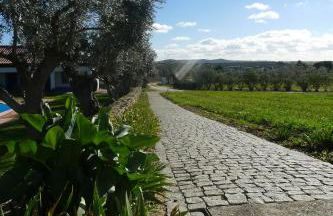 Casa de Campo, Quinta do Funchal - Foto 19