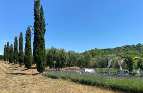 Tenuta Le Mandorlaie, Agriturismo in Scansano - Foto 52