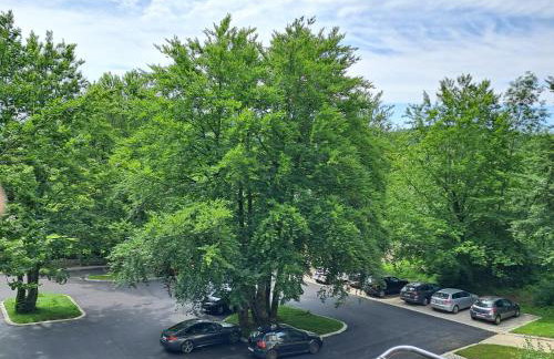 Studio apartman Rose - Foto 25