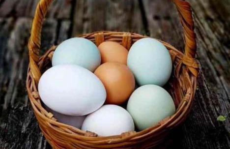 The Singing Heart, TirNaNog Cozy Cottage near Lochgilphead !!HIDDEN GEM!! - Foto 24