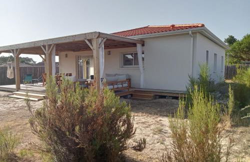 Santa Monta - Foto 22