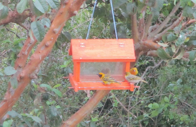 Cintsa View - Photo 19