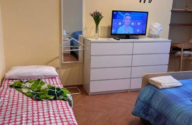 i tulipani - Foto 20