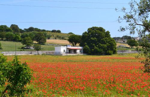 Masseria Torricella - Foto 54