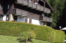 cimes d'or - Photo 5