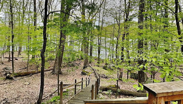 Servicios del alojamiento