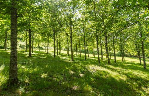 Agriturismo Podere La Casaccia - Foto 15