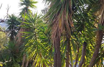 Rez de villa avec beau jardin et belle vue - Foto 18