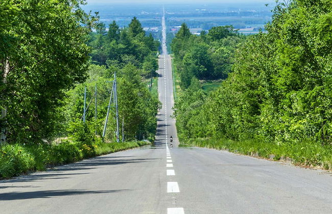 Escursione ai campi fioriti di Hokkaido e allo stagno Blu - Foto 5