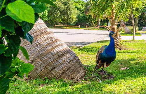 Atlantic Ocean Home ,1 minute walk to the beach - Foto 51